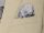 Stretch beige slim fit white bros dress