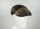 Brown patchwork panizza flat cap in pure wool made in Italy